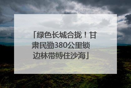 绿色长城合拢！甘肃民勤380公里锁边林带缚住沙海