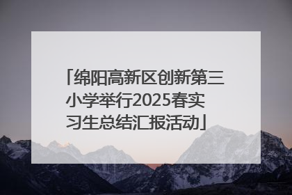 绵阳高新区创新第三小学举行2025春实习生总结汇报活动