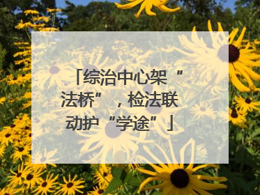 综治中心架“法桥”，检法联动护“学途”