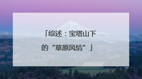 综述：宝塔山下的“草原风情”