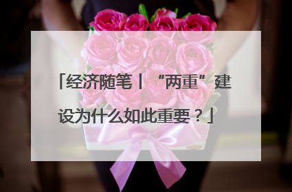 经济随笔丨“两重”建设为什么如此重要？