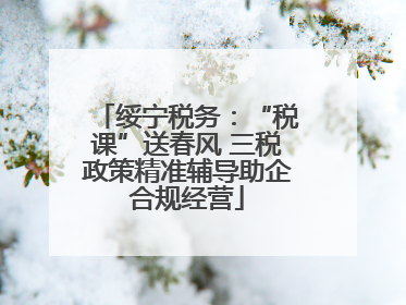 绥宁税务：“税课”送春风 三税政策精准辅导助企合规经营