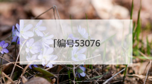 编号530768！南京一中拥有了专属小行星