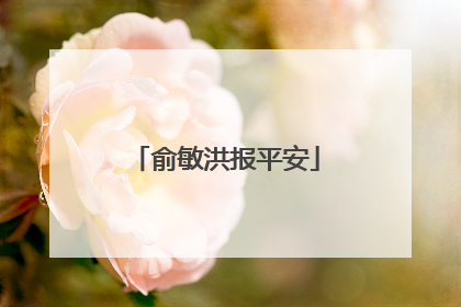 俞敏洪报平安