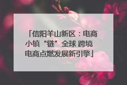 信阳羊山新区：电商小镇“链”全球 跨境电商点燃发展新引擎