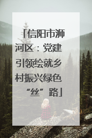信阳市浉河区：党建引领绘就乡村振兴绿色“丝”路