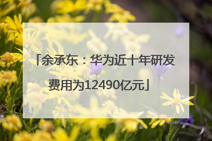 余承东：华为近十年研发费用为12490亿元