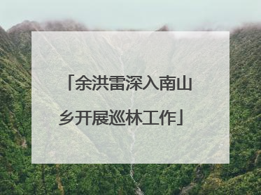 余洪雷深入南山乡开展巡林工作