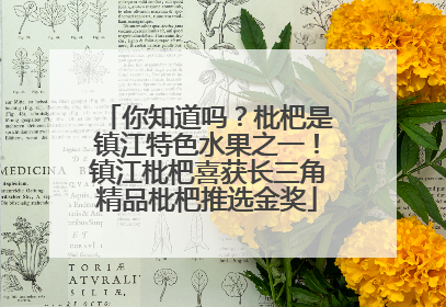 你知道吗？枇杷是镇江特色水果之一！镇江枇杷喜获长三角精品枇杷推选金奖