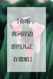 你听，黄河岸边的鸟儿正在歌唱