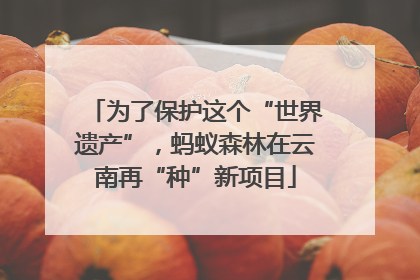为了保护这个“世界遗产”，蚂蚁森林在云南再“种”新项目