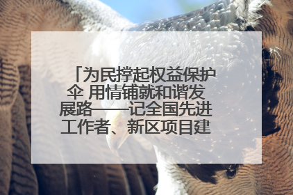 为民撑起权益保护伞 用情铺就和谐发展路——记全国先进工作者、新区项目建设中心干部卢小勇