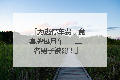 为逃停车费，竟套牌包月车……三名男子被罚！
