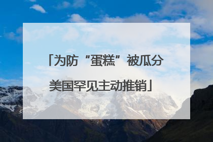 为防“蛋糕”被瓜分 美国罕见主动推销