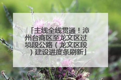 主线全线贯通！漳州台商区至龙文区过境段公路（龙文区段）建设进度条刷新