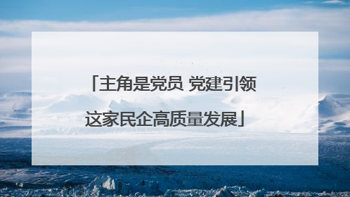 主角是党员 党建引领这家民企高质量发展