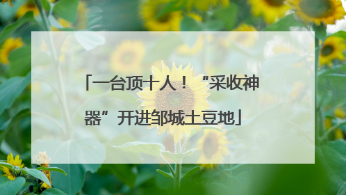 一台顶十人！“采收神器”开进邹城土豆地