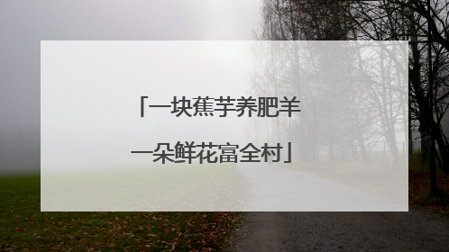一块蕉芋养肥羊 一朵鲜花富全村