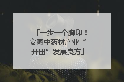 一步一个脚印！安图中药材产业“开出”发展良方