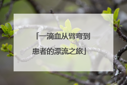 一滴血从臂弯到患者的漂流之旅