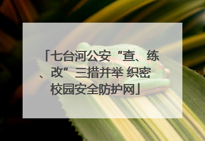 七台河公安“查、练、改”三措并举 织密校园安全防护网