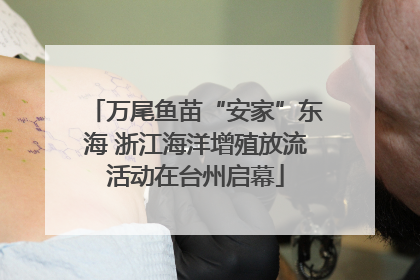 万尾鱼苗“安家”东海 浙江海洋增殖放流活动在台州启幕