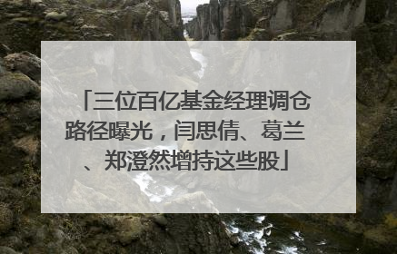 三位百亿基金经理调仓路径曝光，闫思倩、葛兰、郑澄然增持这些股