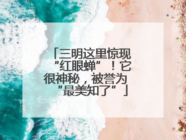 三明这里惊现“红眼蝉”！它很神秘，被誉为“最美知了”