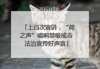 上百次宣讲，“荷之声”唱响禁吸戒毒法治宣传好声音