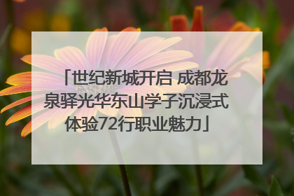 世纪新城开启 成都龙泉驿光华东山学子沉浸式体验72行职业魅力