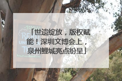 世遗绽放，版权赋能！深圳文博会上，泉州鲤城亮点纷呈