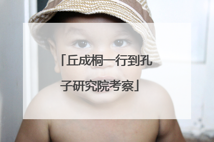 丘成桐一行到孔子研究院考察