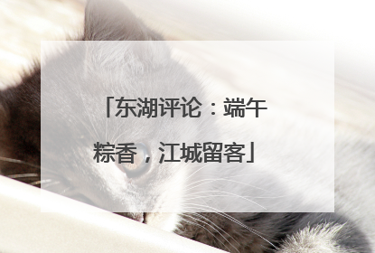 东湖评论：端午粽香，江城留客