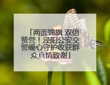 两面锦旗 双倍赞誉！泾阳公安交警暖心守护收获群众真情致谢