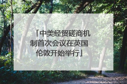 中美经贸磋商机制首次会议在英国伦敦开始举行