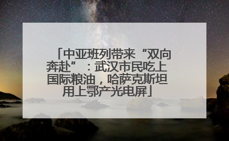 中亚班列带来“双向奔赴”：武汉市民吃上国际粮油，哈萨克斯坦用上鄂产光电屏