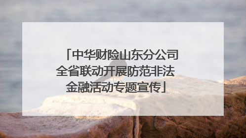 中华财险山东分公司全省联动开展防范非法金融活动专题宣传