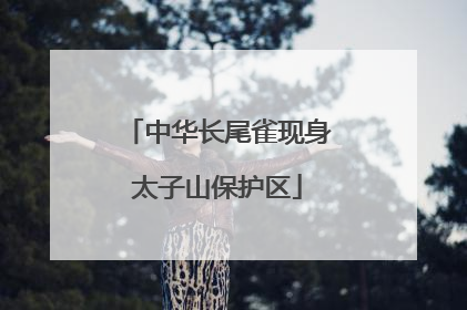 中华长尾雀现身太子山保护区