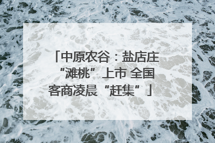 中原农谷：盐店庄“滩桃”上市 全国客商凌晨“赶集”