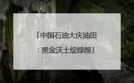 中国石油大庆油田：黑金沃土绽绿颜