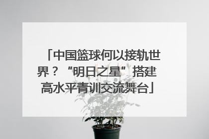 中国篮球何以接轨世界？“明日之星”搭建高水平青训交流舞台