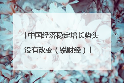 中国经济稳定增长势头没有改变（锐财经）