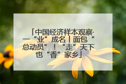 中国经济样本观察·一“业”成名丨面包“总动员”！“走”天下也“香”家乡