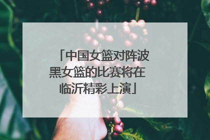 中国女篮对阵波黑女篮的比赛将在临沂精彩上演