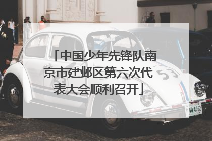 中国少年先锋队南京市建邺区第六次代表大会顺利召开