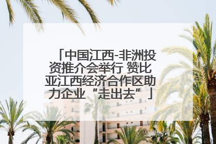 中国江西-非洲投资推介会举行 赞比亚江西经济合作区助力企业“走出去”