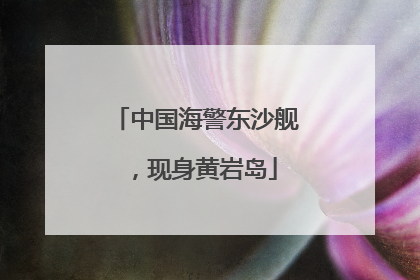 中国海警东沙舰，现身黄岩岛