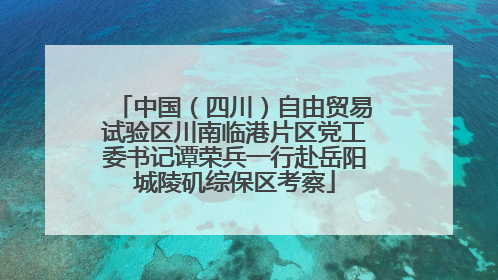 中国（四川）自由贸易试验区川南临港片区党工委书记谭荣兵一行赴岳阳城陵矶综保区考察