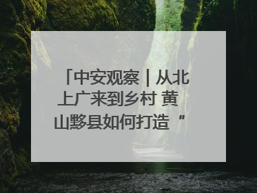 中安观察｜从北上广来到乡村 黄山黟县如何打造“数字游民”的“桃花源”？