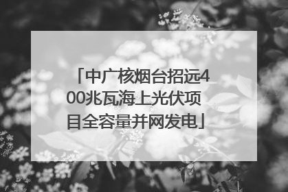 中广核烟台招远400兆瓦海上光伏项目全容量并网发电